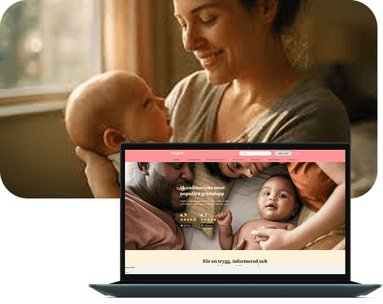 Preglife technical implementation visual