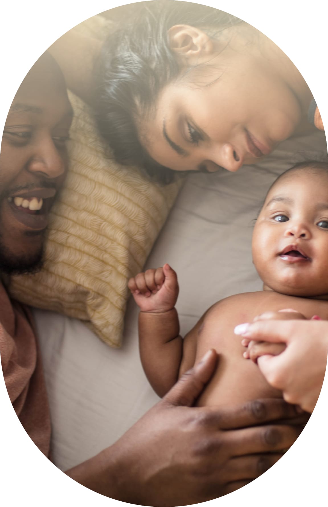 Preglife hero image